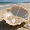 Gold epoxy seahorse charm necklace resting in open shell on Florida Gulf Coast beach with turquoise water
