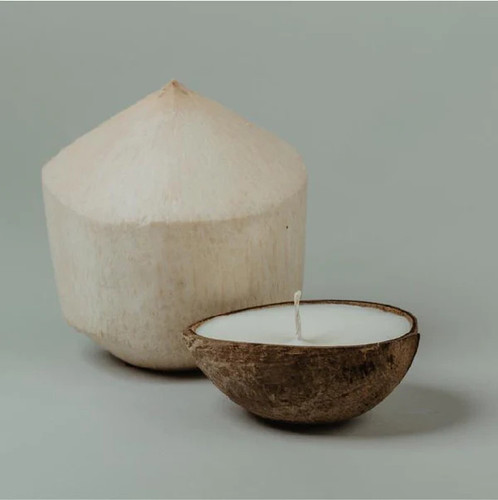 Coconut cream half shell coconut candle beside whole fresh coconut ‚Äî natural soy coconut wax candle on gray background