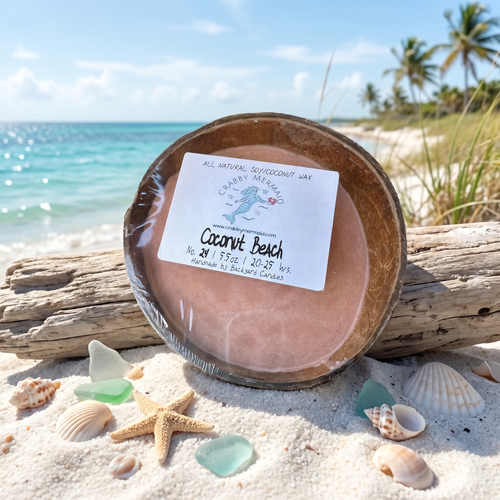 Coconut beach coconut shell candle with tropical palm tree beach background — soy coconut wax candle — Crabby Mermaid