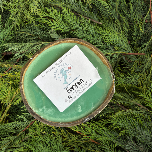 Evergreen Half Shell Coconut Candle - 5.5 oz

With its heady scent, this Evergreen Half Shell Coconut Candle radiates an invigorating and joyful fragrance reminiscent of an evergreen forest. Citrus aromas form the top notes, intertwined with a delightful fusion of pine and berry, with an underlying hint of earthiness. This candle is a beautiful addition to your home during the holiday season and a great way to bring a bit of nature's blissful essence to any day of the year.
Whenever I light this candle, I am instantly transported to the great outdoors, a place that brings me nothing but contentment.

These candles also make an ideal gift. Be sure to check out our entire collection of fragrances.