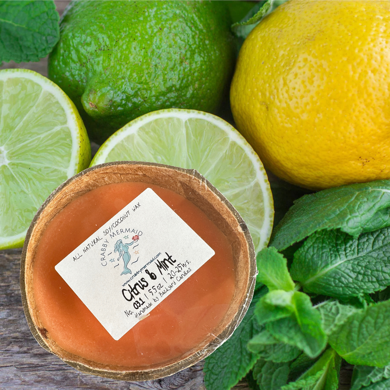 Citrus and mint coconut shell candle surrounded by fresh limes and lemon — all natural soy coconut wax candle — Crabby Mermaid