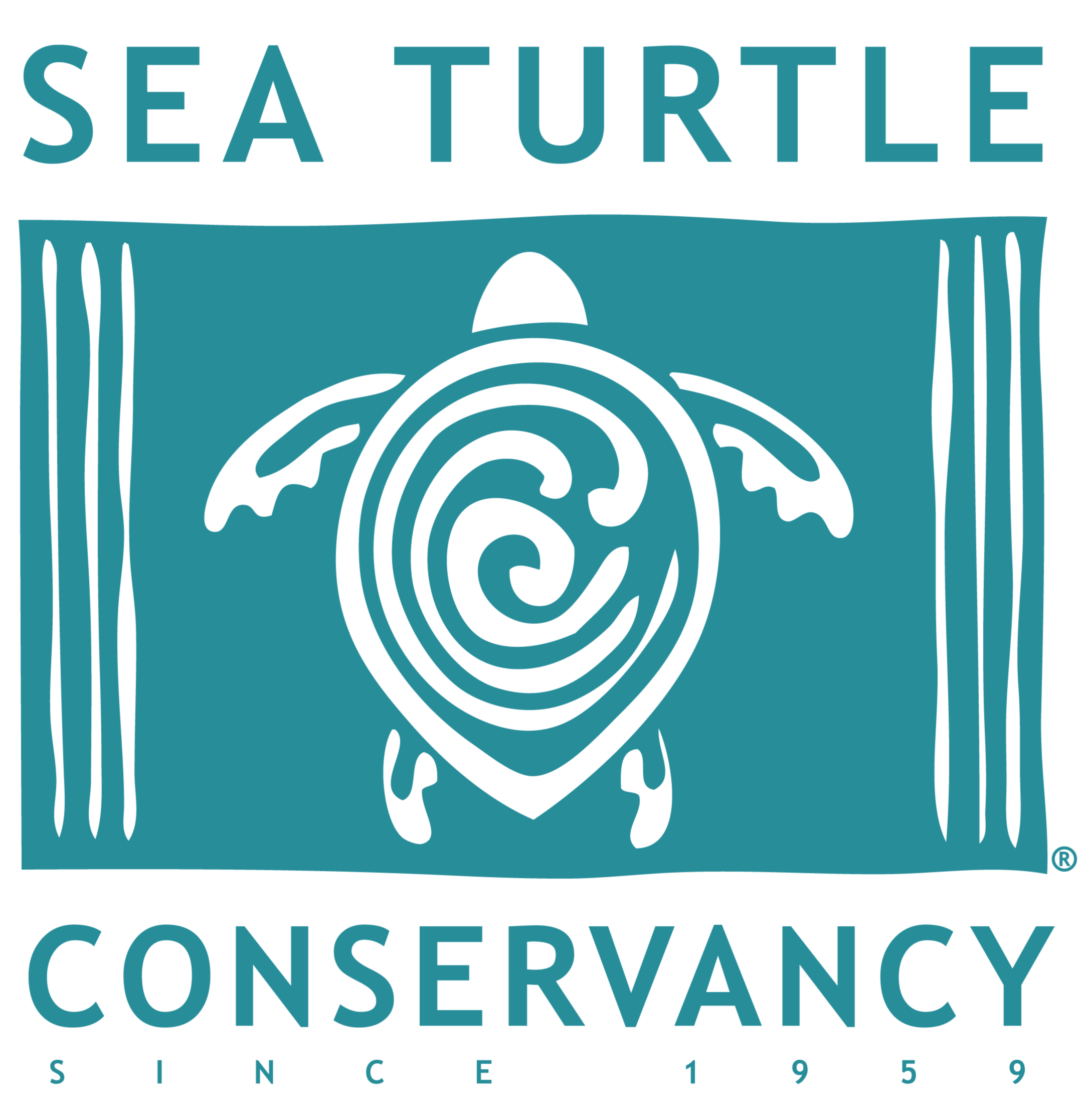 Sea Turtle Conservancy original logo