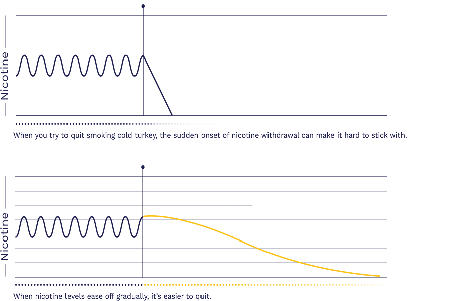 chart.png