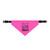 My Kids Have Paws Clip-on Pet Bandana | Pink, Funny Pet Quote