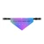 Rainbow Sparkles Pet Bandana- Customize with your pet's name