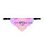Unicorn Hearts- Customize with your pets Name Bandana