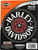 HARLEY-DAVIDSON® B&S STAR BADGE DECAL