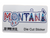 MONTANA NATIVE TEXT DIE CUT STICKER