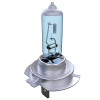 H7 Halogen Light Bulbs