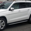2013-2018 Mercedes Benz X166 GL-Class/GLS-Class Aluminum Side Step Bars