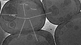 with-right-approach-liposomes-can-be-natural.png