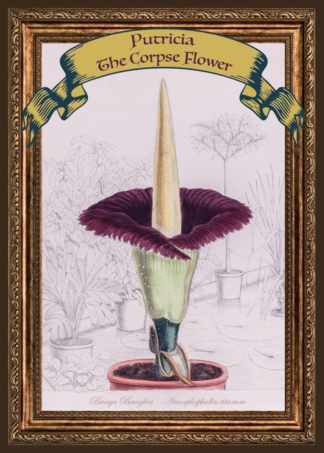 'Putricia' Post Card