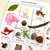 Plug Into Nature Activity Book by Kim Carty