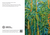 Palm Grove Greeting Card