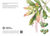 Macadamia Greeting Card