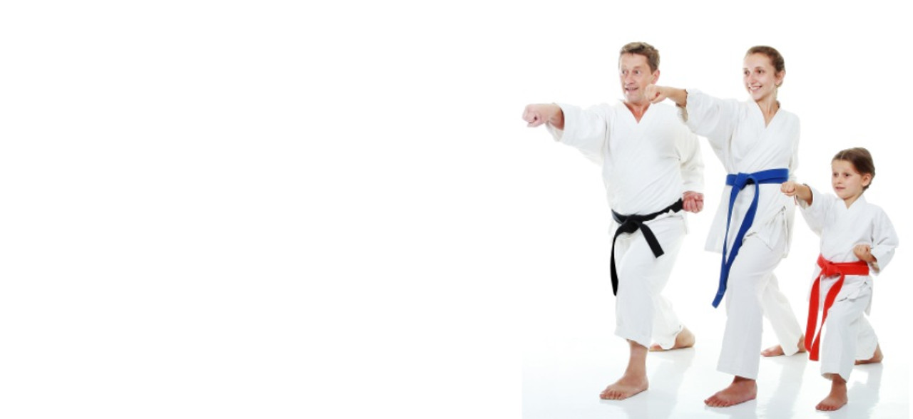 SHUREIDO Karate Uniform (Gi) and Belt online shop