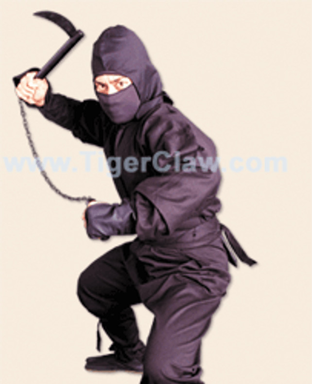 Spooktacular Deals: Ninja Uniforms for Sale at Mykaratestore.com Just in Time for Halloween
