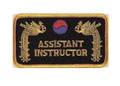 Patch ASSISTANT INSTRUCTOR