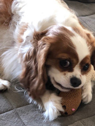 Review Testimonial by Kathleen C.