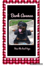 Review Testimonial by Donna