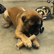 Review Testimonial by Martha R