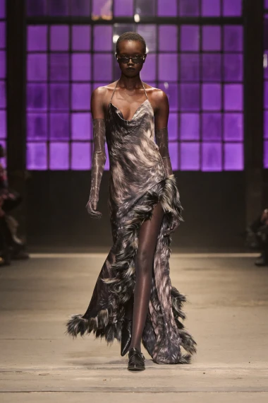 Roberto Cavalli Fall 2026 Look 27