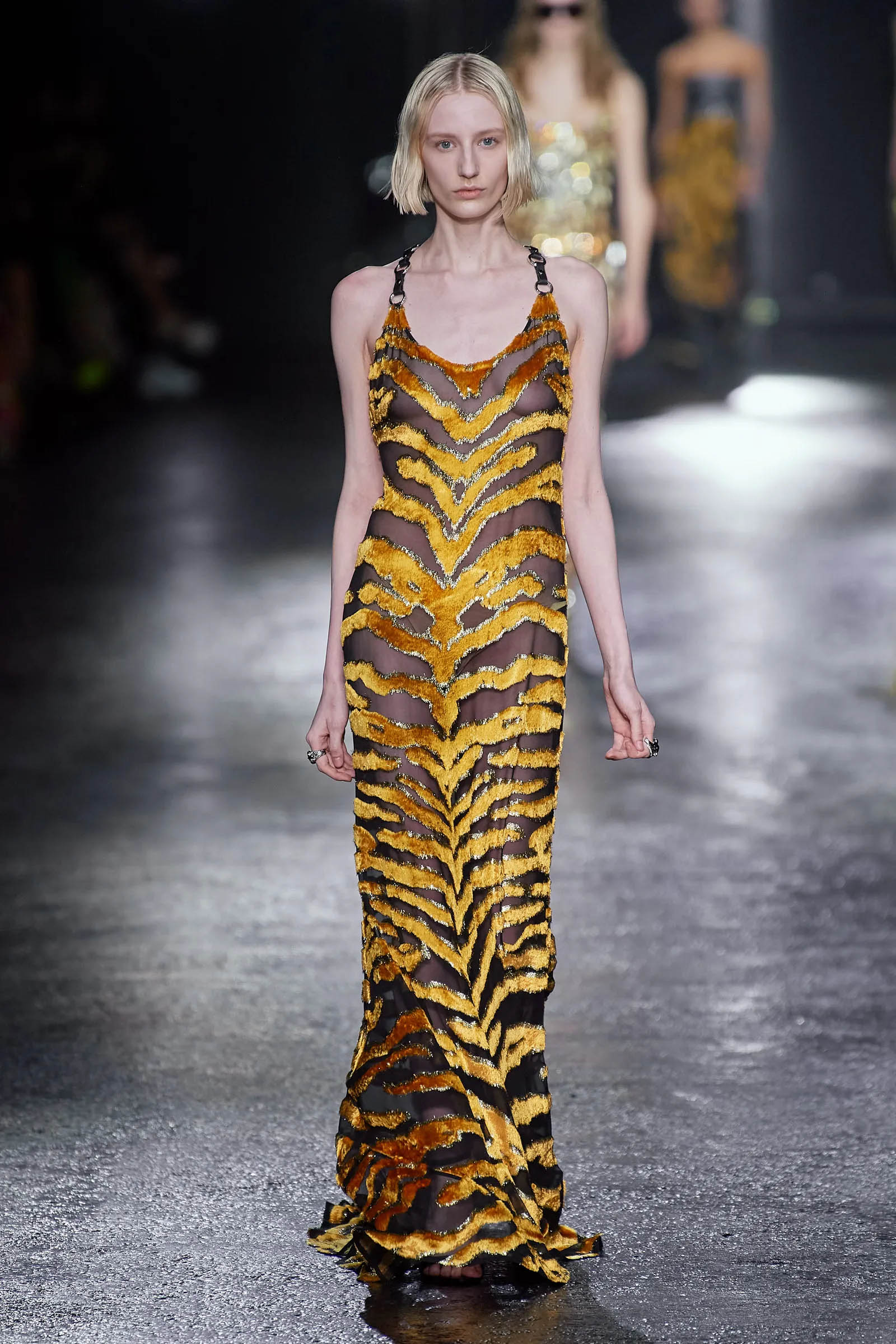 【roberto cavalli】定価9万程 ロング丈 ブラウス Roberto Cavalli Fall 2023 Ready To Wear Look 36 - Vivaldi Boutique