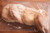 Gluten Free Things premium brand English Muffins are celiac safe as they are made in our dedicated gluten-free bakery.