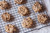 Oatmeal Raisin & Chocolate Chip Cookie Dough Stuff*.   
*Chips may contain milk.    Made in our Arvada, CO dedicated gluten-free bakery for yummy products that are not only celiac safe, but also vegan.  Egg Free so you can EAT the raw dough without any fears of contaminants.   Our Cookie Dough offers  fast, easy cookies with that home baked aroma.  Gluten-free and vegan (we don't use eggs in any of our products).