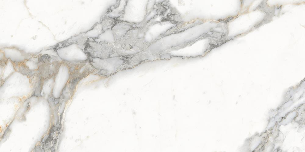 ema United Tile Company Edimax Symphony Moon 24x48 Field Rectified | Tile