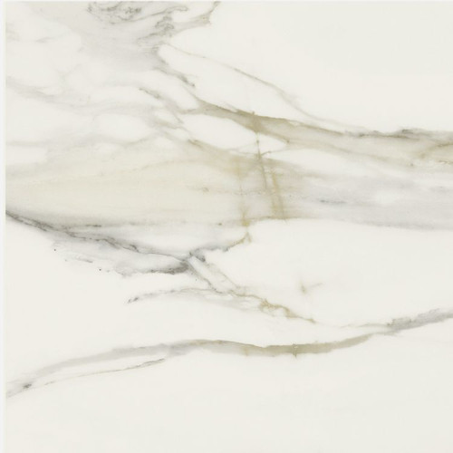 CLASSICI CALACATTA GOLD GLOSSY 24" X 24" - ELYTIL1318 - Tile -  ELYSIUM TILES INC
