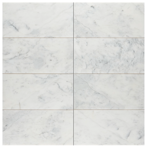 CALACATTA GRIS HONED 12" X 24"