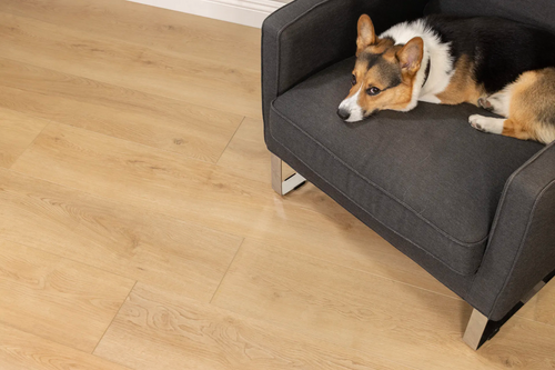 CALI LEGENDS SOUTH WIND OAK CLICK 9" X 60"