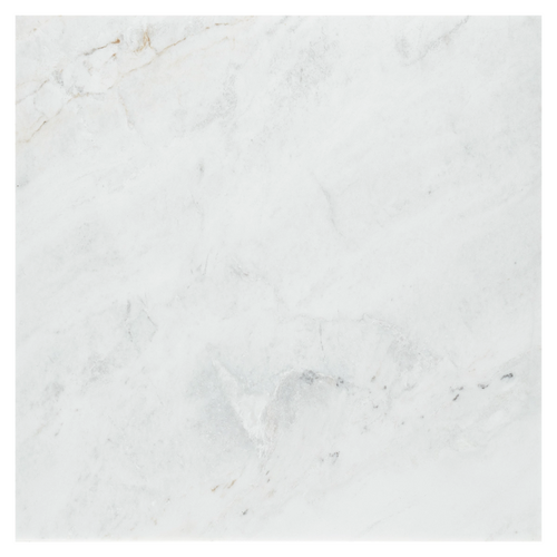 CALACATTA UMBER HONED 24" X 24"