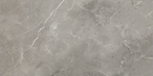 PLATINUM MATTE 12X24