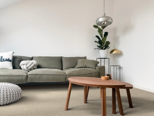 GAME PLAN - Carpet -  DIXIE HOME