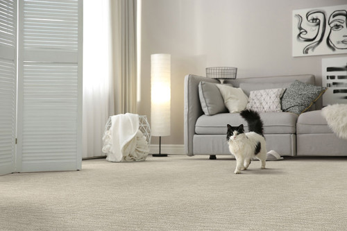 HERE KITTY - Carpet -  DIXIE HOME