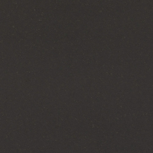 4120_Raven