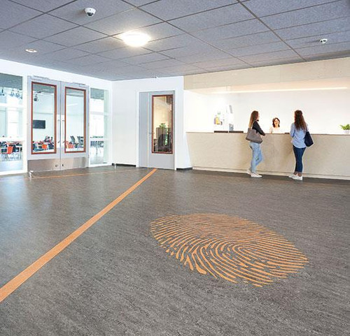 MCS MARMOLEUM 6FT 7IN - Vinyl -  FORBO FLOORING INC