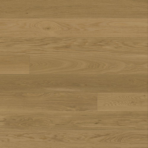 Vinland Oak