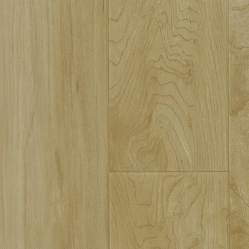 Insight Plus Maple Grove (Glass Back)