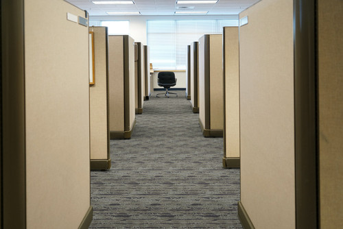 COSMO - 9621 - Carpet -  MASLAND CARPETS INC