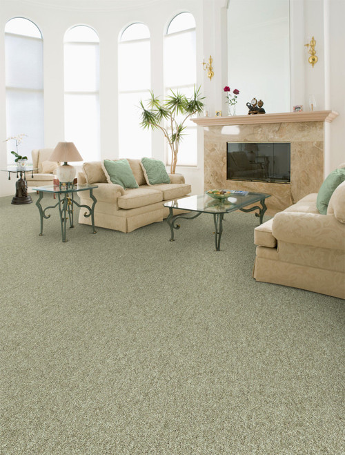 EMBRACE - 9501 - Carpet -  MASLAND CARPETS INC