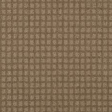 Magnetic Form II Sonora