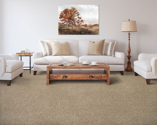 COLOR FUSION II - Carpet -  MOHAWK FACTORING  INC