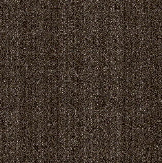 RULE BREAKER - 2B94 - Carpet -  MOHAWK FACTORING  INC