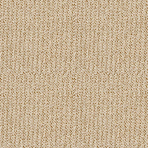 Detailed Art Loop
