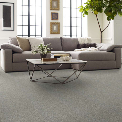 PACIFIC PINES (T) - Carpet -  SHAW INDUSTRIES, INC