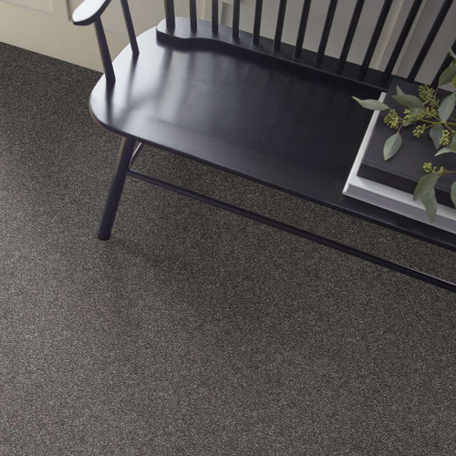 RAINBOW FALLS (S) - Carpet -  SHAW INDUSTRIES, INC