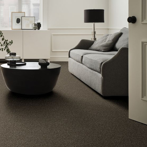 SERENDIPITY I - Z6814 - Carpet -  SHAW INDUSTRIES, INC